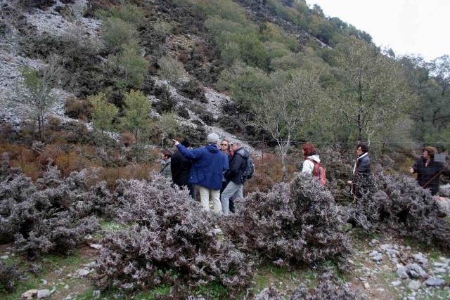 Discussione fra i partecipanti nel plot sperimentale di Xeropotamos