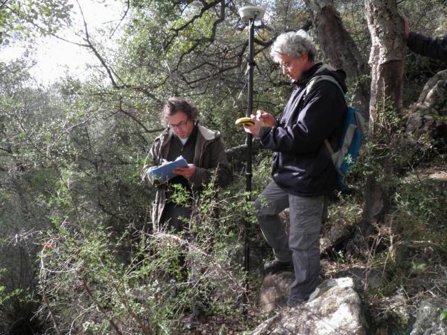 Rilievi all'interno delle formazioni forestali