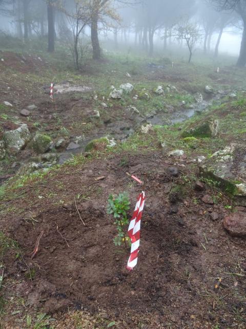 Fig. 1. Veduta di insieme dell’impianto