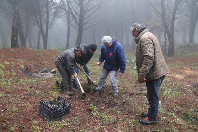 Fig. 2. Un momento dell’impianto