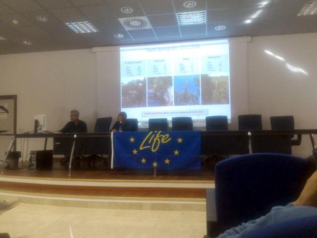 presentazione garfi.jpg