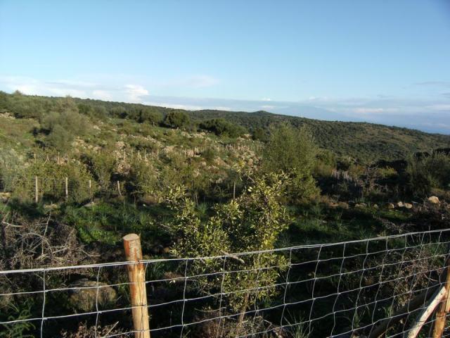 recinzione Ciranna 1_rd.JPG