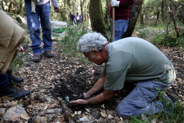 Figura 1. Un momento dell’impianto a Bosco Ficuzza