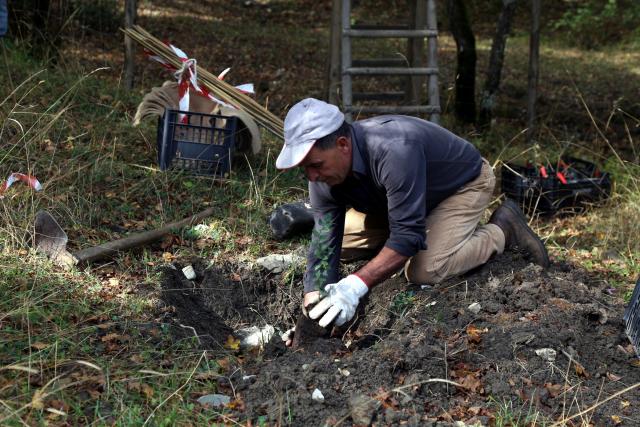 Figura 2. Messa a dimora di una piantina a Bosco Tassita