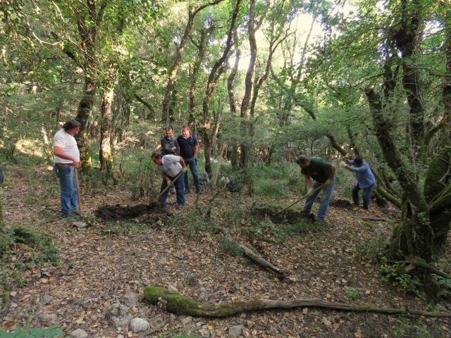 Foto 1. Bosco Ficuzza. Apertura buche